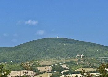 orlo5 - Appartamento Via Loretana, Camerano - foto 5