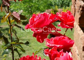 Villa Rovegno - foto 8