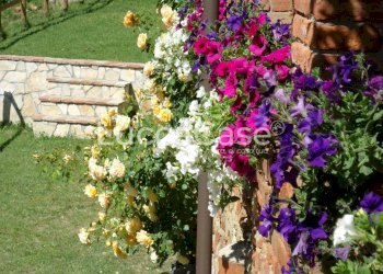 Villa Rovegno - foto 9