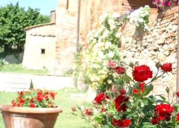 Villa Rovegno - foto 12