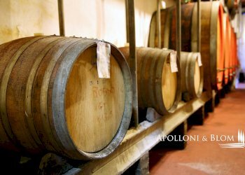Palazzo Storico dei Colli, Chianciano Terme - foto 30