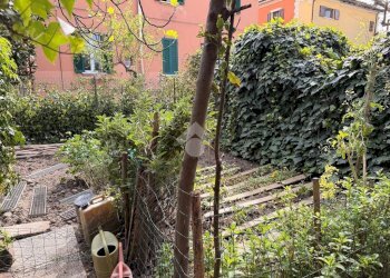 Independent house Via Piana, Bologna (neighborhood San Donato) - photo 7