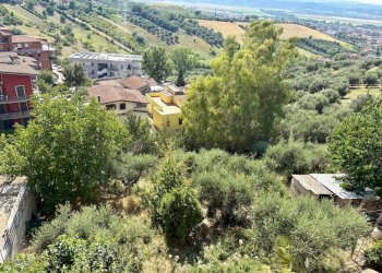 Foto 13 - Terreno edificabile Via Garigliano
23, Monterotondo - foto 13