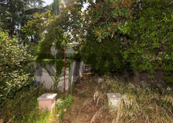 Giardino - Casa indipendente Via Marletta
 
70, Tremestieri Etneo - foto 3