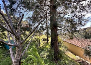 Giardino - Independent house Contrada lembasi
 
1, Messina - photo 23