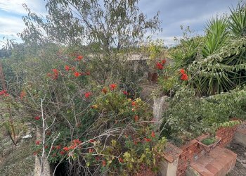 Giardino - Villa Via della Prece
 
1, Caltagirone - foto 21