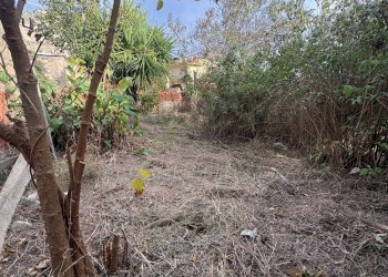 Giardino - Villa Via della Prece
 
1, Caltagirone - foto 33