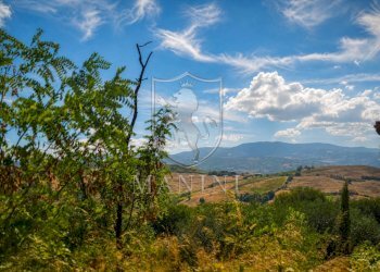 Foto 5 - Rustico via case sparse
 
3, Cinigiano - foto 5