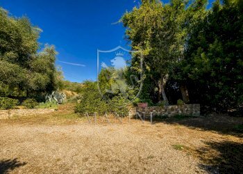Foto 6 - Rustico via case sparse
 
3, Cinigiano - foto 6