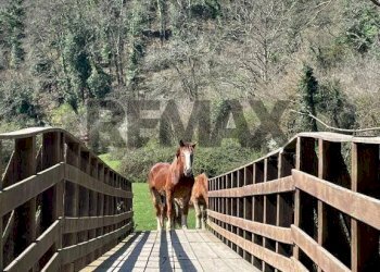 Non correlato - Villa VIA DEL PRATICELLO
 
48, Formello - foto 63