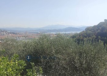 Foto 23 - Quadrilocale Via Sant'andrea
 
25, La Spezia - foto 23