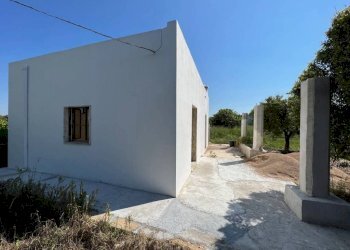 Terreno - Villa strada Vicinale di Pontuso, Matino - foto 3