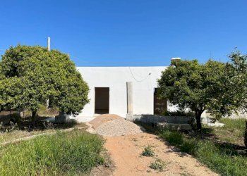Terreno - Villa strada Vicinale di Pontuso, Matino - foto 6