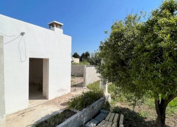 Terreno - Villa strada Vicinale di Pontuso, Matino - foto 11