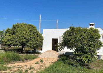 Terreno - Villa strada Vicinale di Pontuso, Matino - foto 12