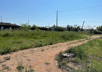 Terreno - Villa strada Vicinale di Pontuso, Matino - foto 15
