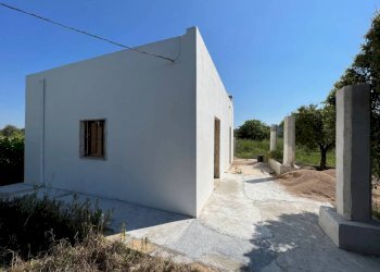 Terreno - Villa strada Vicinale di Pontuso, Matino - foto 16