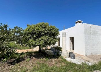 Terreno - Villa strada Vicinale di Pontuso, Matino - foto 17