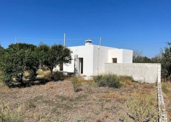 Terreno - Villa strada Vicinale di Pontuso, Matino - foto 20