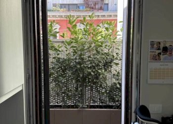 Dettagli - Trilocale via SANSOVINO, 11, Milano (zona Città Studi) - foto 25