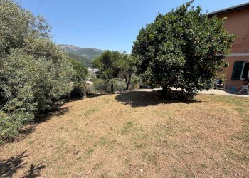 img_7891 - Appartamento via del Campo, Sori - foto 12