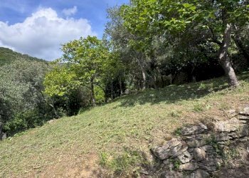 f87fbce0-a55b-4e90-8876-0be492412b49 - Appartamento via del Campo, Sori - foto 16