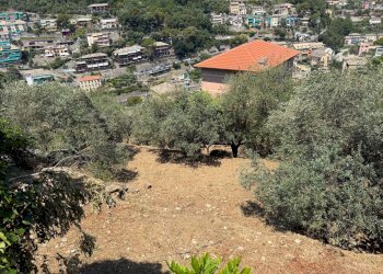 img_7916 - Appartamento via del Campo, Sori - foto 18