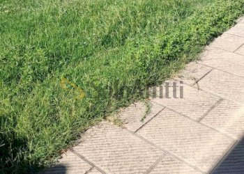 64f9bf81-8336-4bb5-8654-79a3bce997c3 - Ufficio Viale Repubblica 24, Sesto Fiorentino - foto 7