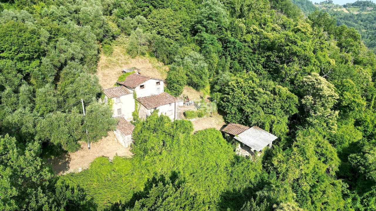vendesi rustico con podere lucca colline DJI_0513 - Casale Domazzano 8, Borgo a Mozzano - photo 3