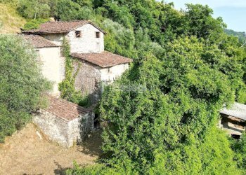 vendesi rustico con podere lucca colline DJI_0515 - Casale Domazzano 8, Borgo a Mozzano - photo 4