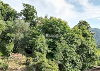 vendesi rustico con podere lucca colline DJI_0534 - Casale Domazzano 8, Borgo a Mozzano - photo 24