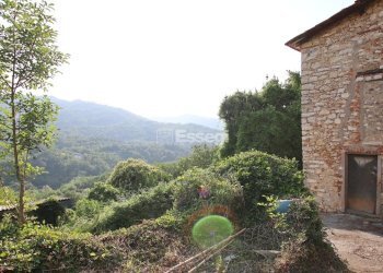 vendesi rustico con podere lucca colline IMG_6916 - Casale Domazzano 8, Borgo a Mozzano - photo 26