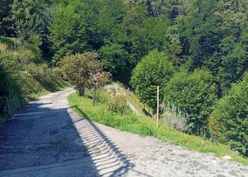 img_978_28 - Rustico Strettoia, Pietrasanta - foto 14