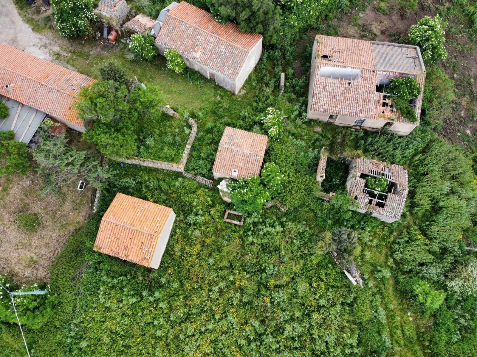 Terreno edificabile Aggius - foto 2