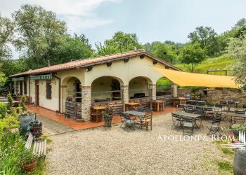 Casale Località La Piazza, 10, Greve in Chianti - foto 6