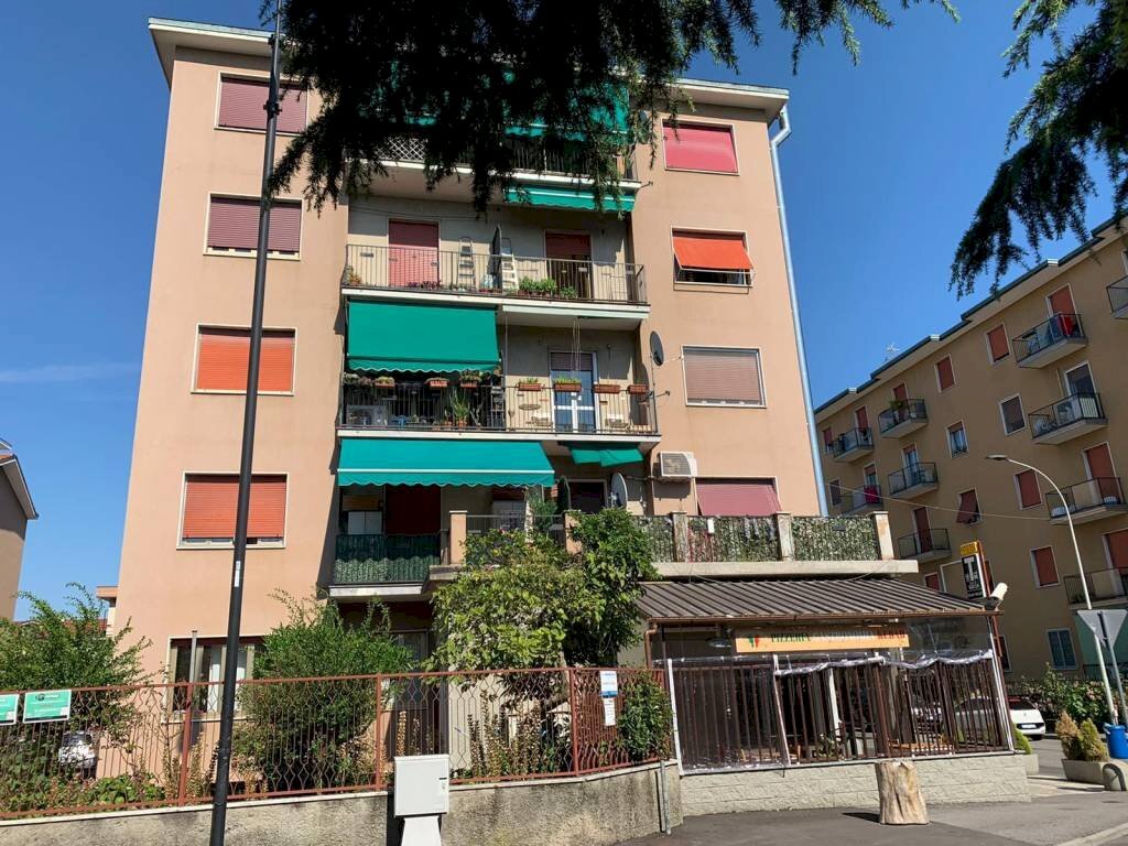 Trilocale Segrate - foto 3