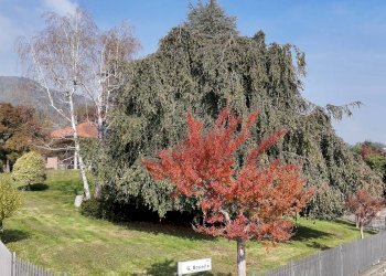 Villa Pollone, BI, Pollone - foto 45