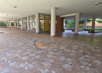 Foto 5 - Trilocale via Q. Sella
 
21, Busto Arsizio - foto 4