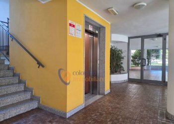 Foto 7 - Trilocale via Q. Sella
 
21, Busto Arsizio - foto 6