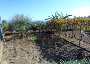 Giardino - Villa VIA FILIPPO MEDA
 
77, Giarre - foto 102