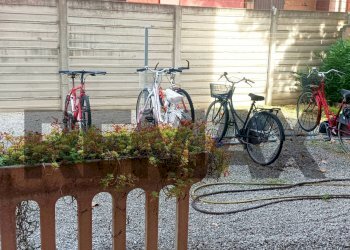 Giardino - Two-room apartment Via Giacomo Sani
 
25, Ferrara - photo 3
