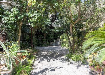 Giardino - Appartamento Via Torquato Tasso
 
292bis, Napoli - foto 40