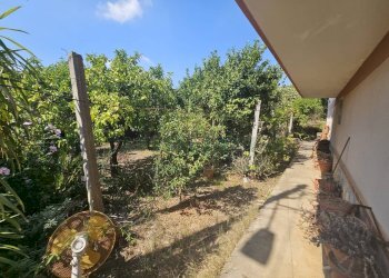 Foto 18 - Villa via muscianese, Pastorano - photo 18