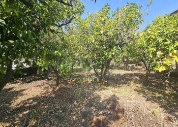 Foto 19 - Villa via muscianese, Pastorano - photo 19