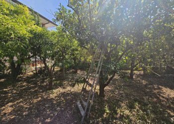 Foto 20 - Villa via muscianese, Pastorano - photo 20