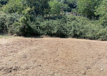 Foto 4 - Terreno edificabile STIA, Pratovecchio Stia - foto 4