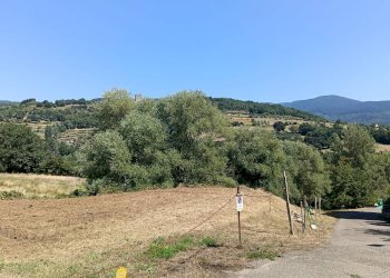 Foto 5 - Terreno edificabile STIA, Pratovecchio Stia - foto 5