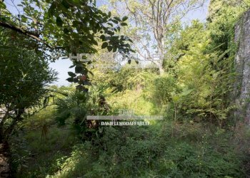 Giardino - Three-room apartment via Superiore Ravina, Genova (neighborhood Nervi) - photo 40