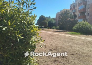 Giardino - Bilocale via dei Pesci, 7, Anzio - foto 20