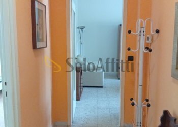 disimpegno - Appartamento Gallarate - foto 8